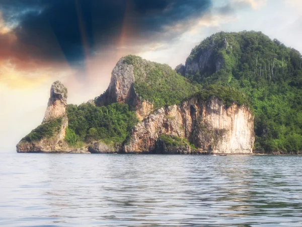 Nature and vegetation of Chicken Island — Stock Photo, Image