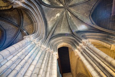 Notre dame iç sütunları, paris