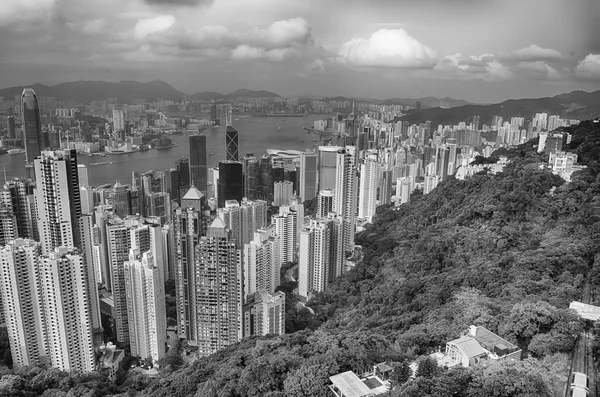 Skyscrapers of Hong Kong — Stock Photo, Image