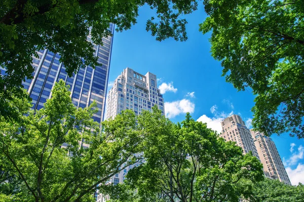 Skyline de Nova York a partir da estrada Central Park — Fotografia de Stock