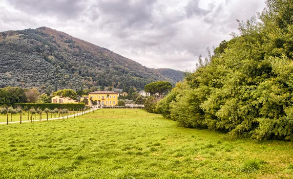 Autumnal background of Tuscany Campaign — Stock Photo, Image