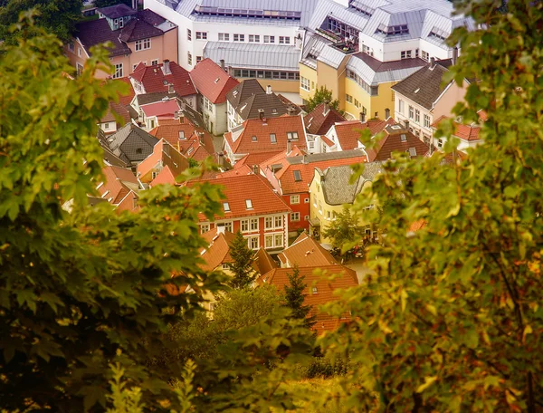 Skandinavische Häuser zwischen Bäumen — Stockfoto