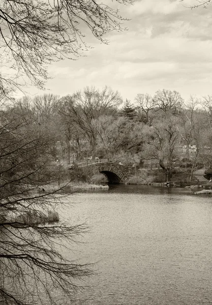 Central park, new york city in de winter — Stockfoto