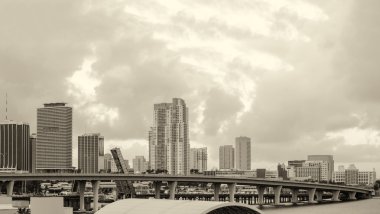 Miami manzarası
