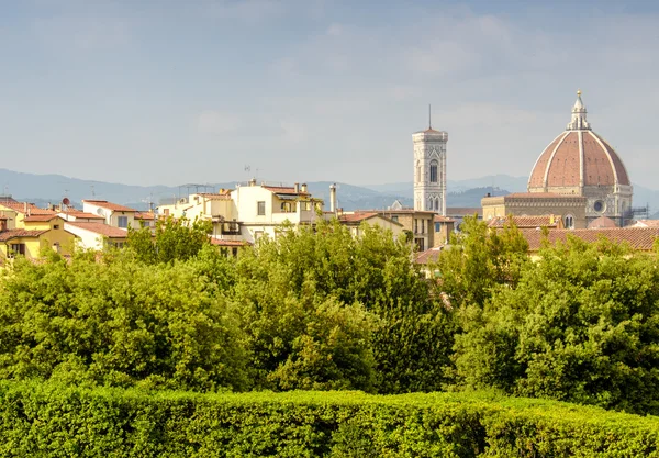 Piazza del Duomo och staden träd — Stockfoto