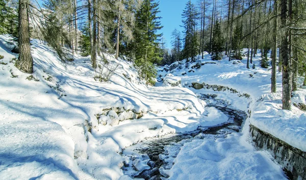 Montagna paesaggio invernale — Foto Stock