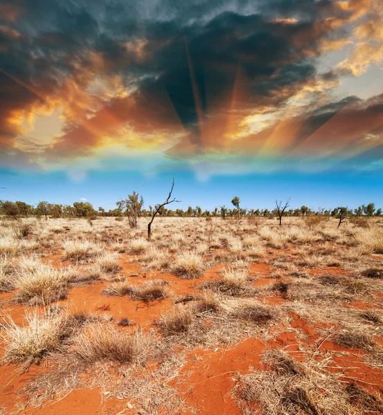 Austrálie, krajinu vnitrozemí — Stock fotografie