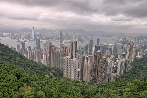 Splendida vista di Hong Kong con foresta, città e porto — Foto Stock