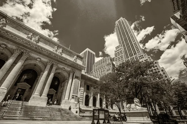 Hij New York Openbare Bibliotheek — Stockfoto