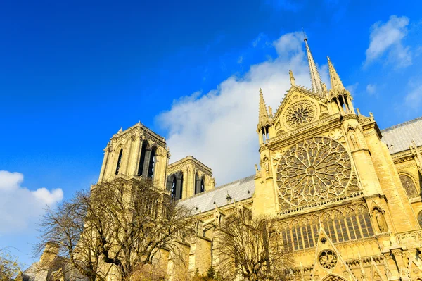 De kathedraal van notre dame in Parijs — Stockfoto