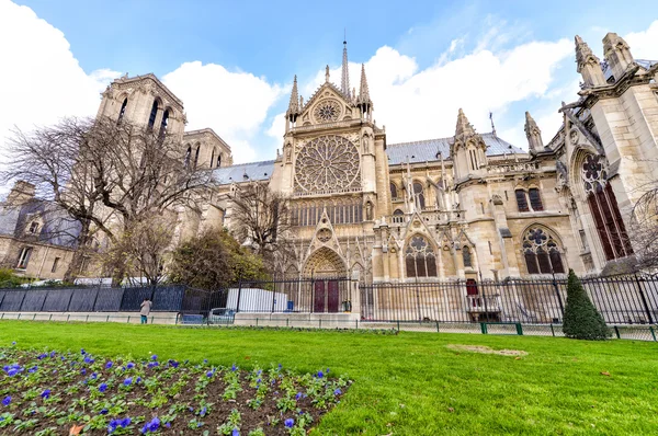 De kathedraal van notre dame in Parijs — Stockfoto