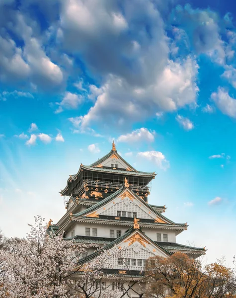 Blick auf einen japanischen Tempel, umgeben von viel Vegetation — Stockfoto