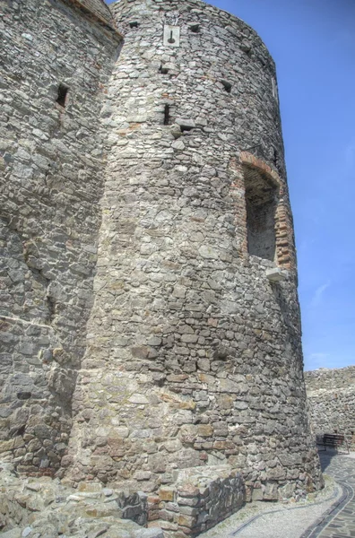 Devin Castle in Bratislava — Stock Photo, Image