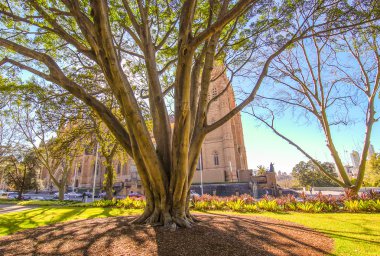 Sydney. Park ve mimari