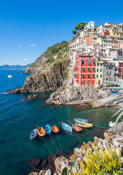 Stunning view of Riomaggiore with cliffs, homes and boats - Cinq — Stock Photo, Image