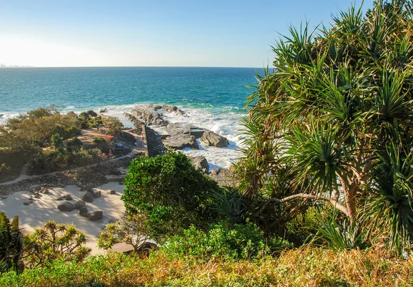 골드 코스트, 호주입니다. 식물으로 아름 다운 바다 경치 — 스톡 사진