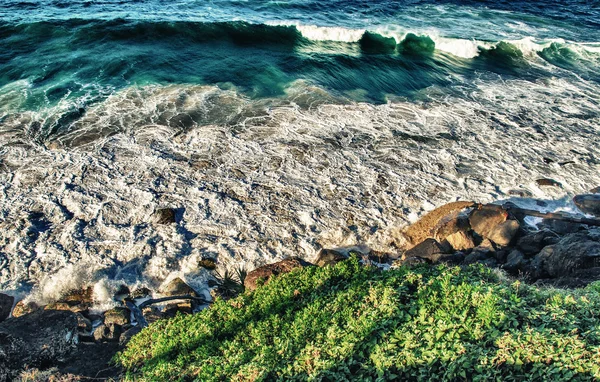 Gold Coast, Australia. Bellissimo paesaggio marino con vegetazione — Foto Stock