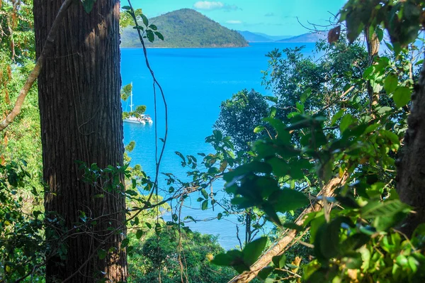 Wybrzeża Queensland, Australia — Zdjęcie stockowe