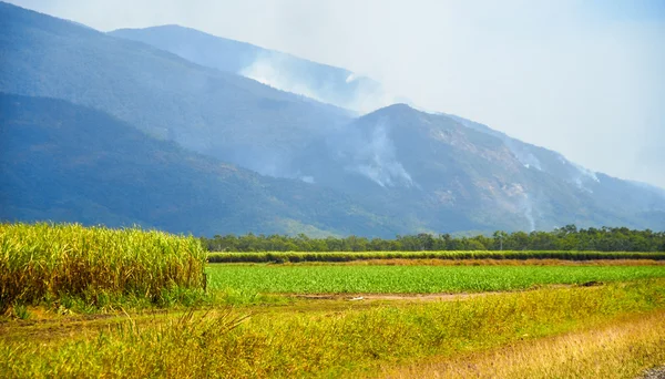 Yangınlar Queensland kırsal - Avustralya — Stok fotoğraf