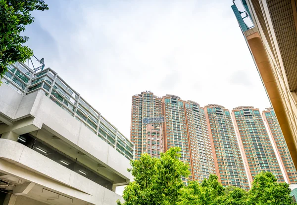 City buildings and palms, Macau — Stock Photo, Image