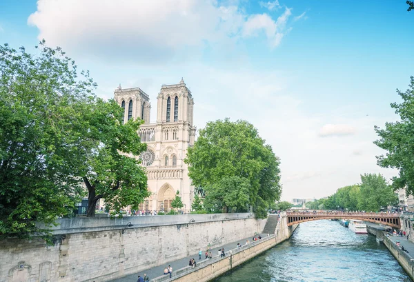 Notre Dame-katedralen i Paris — Stockfoto