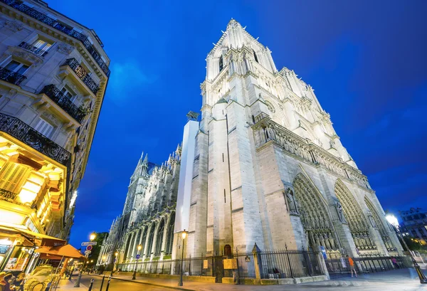Notre Dame Katedrali alacakaranlıkta, Paris - Fransa — Stok fotoğraf