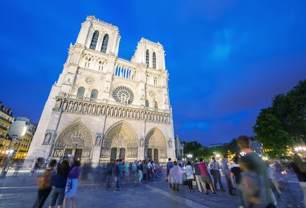 Notre-Dame kathedraal in de schemering, Parijs - Frankrijk — Stockfoto