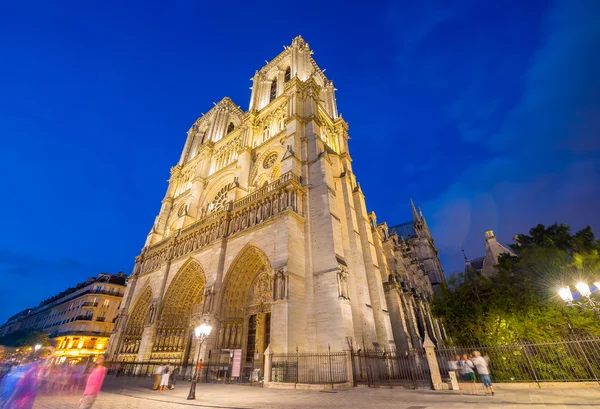 Notre-Dame kathedraal in de schemering, Parijs - Frankrijk — Stockfoto