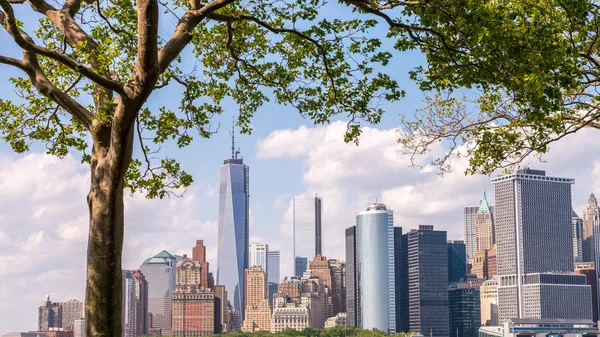 Vue du Lower Manhattan — Photo