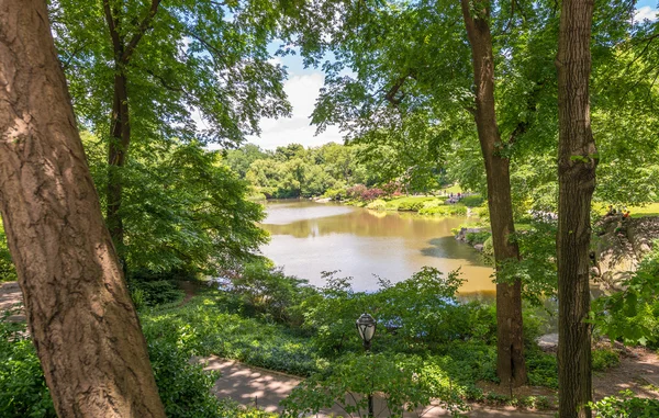 Lago e alberi di Central Park — Foto Stock