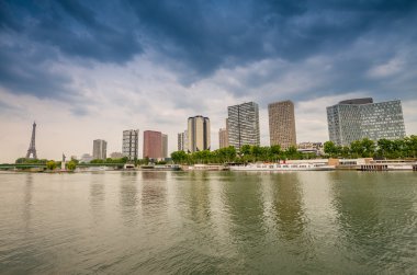 Eyfel Kulesi ile Paris 'in ufuk çizgisi