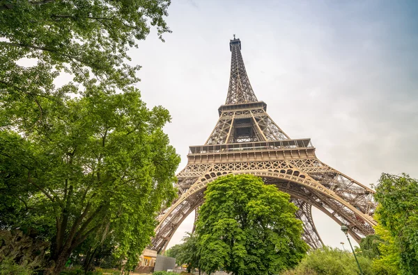 Eiffelturm zwischen Vegetation — Stockfoto