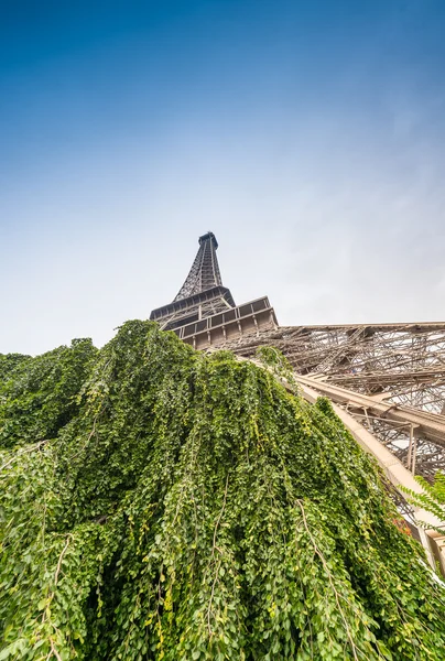 Eiffel Tower between  vegetation — Stock Photo, Image