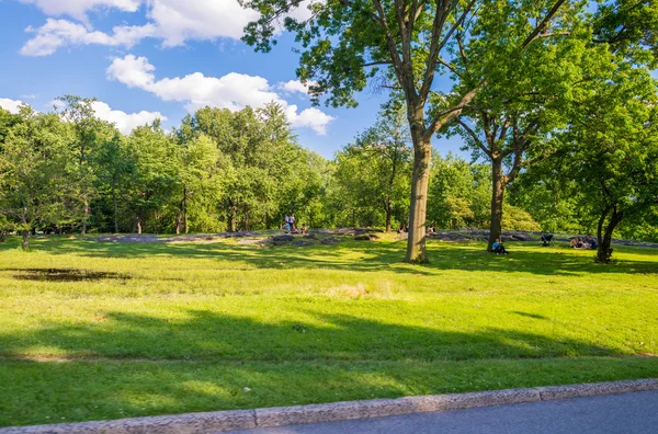 Green meadows of Central Park — Stock Photo, Image