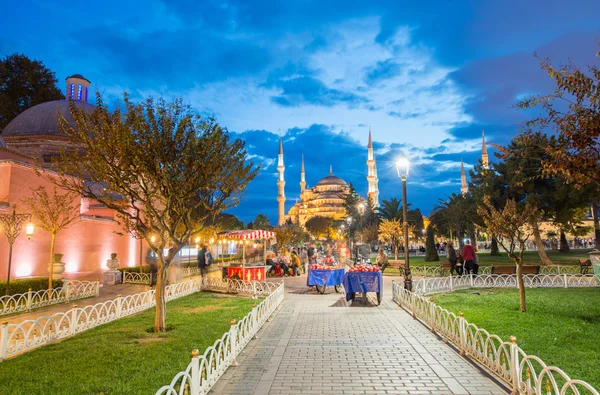 Vista nocturna de la Mezquita Azul - Estambul — Foto de Stock