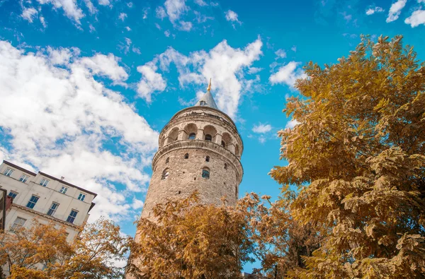 Galata Tower framed by trees - Istanbul — Stock Photo, Image