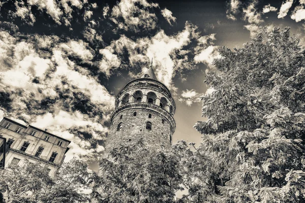 Pracht van Galata Tower omlijst door bomen — Stockfoto