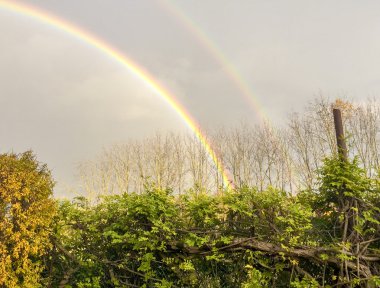 Double rainbow over the home garden clipart