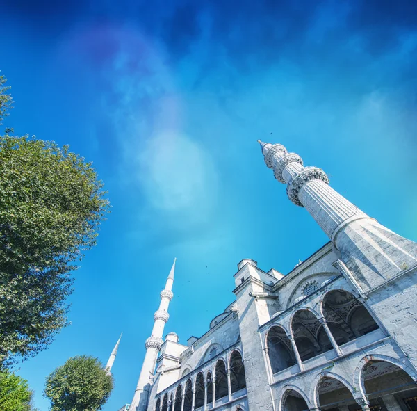 Blå moskén, Istanbul - Turkiet — Stockfoto