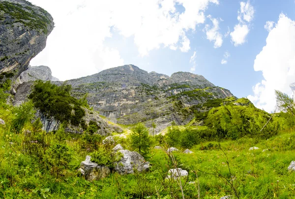 Paisaje de Dolomitas. Montañas y árboles — Foto de Stock