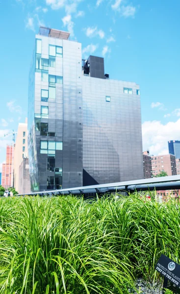 High Line Park em Nova York . — Fotografia de Stock