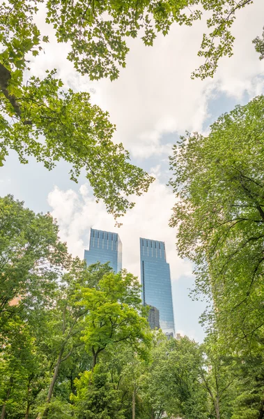 Vegetazione di Central Park — Foto Stock