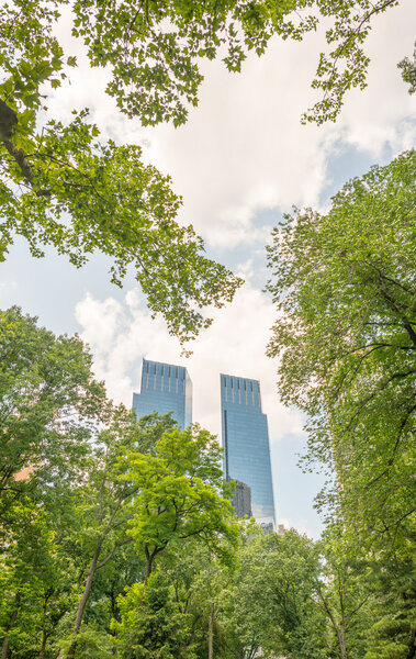 Vegetation of Central Park in Manhattan, New York City.