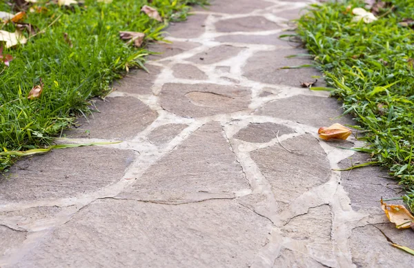 Characteristic path on a park  with leaves aside — Stock Photo, Image