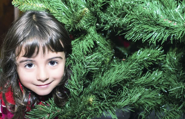 Meisje genieten van kerstboom thuis — Stockfoto