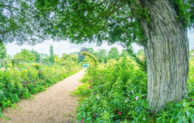 Turist ünlü Monet bahçeleri ziyaret