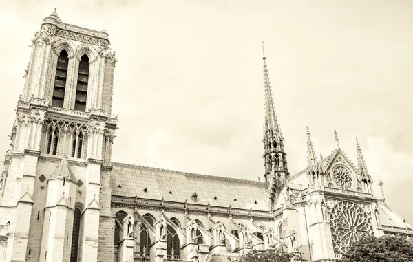 Notre Dame in Paris — Stockfoto