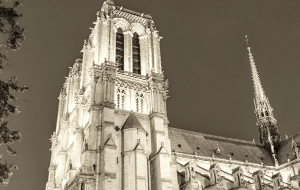 Notre Dame Visa på natten — Stockfoto