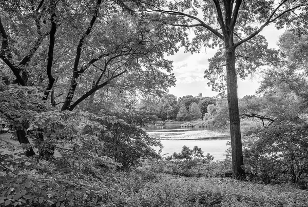 Central Park piękny letni dzień — Zdjęcie stockowe