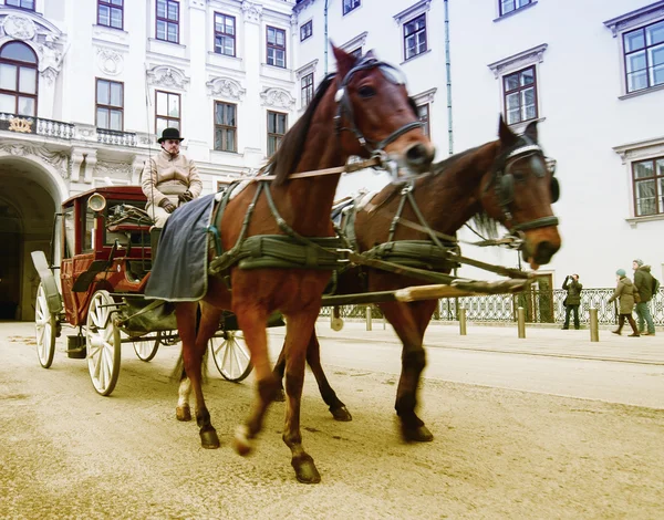 Horse carriage in city center Of Vienna — 스톡 사진